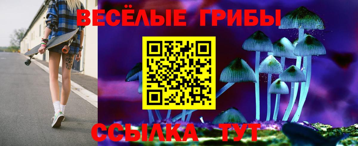 Избербаш  Псилоцибиновые грибы ЛСД  Вход с VPN 