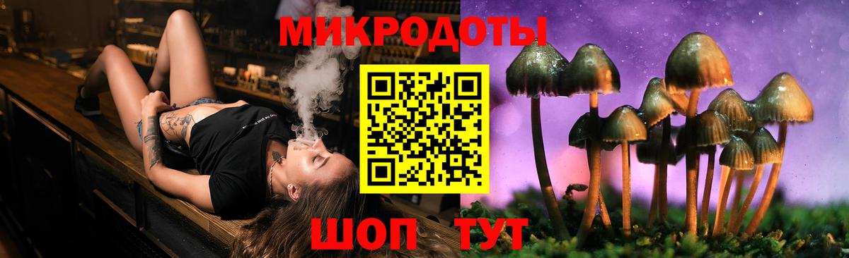 Псилоцибиновые грибы мицелий Избербаш